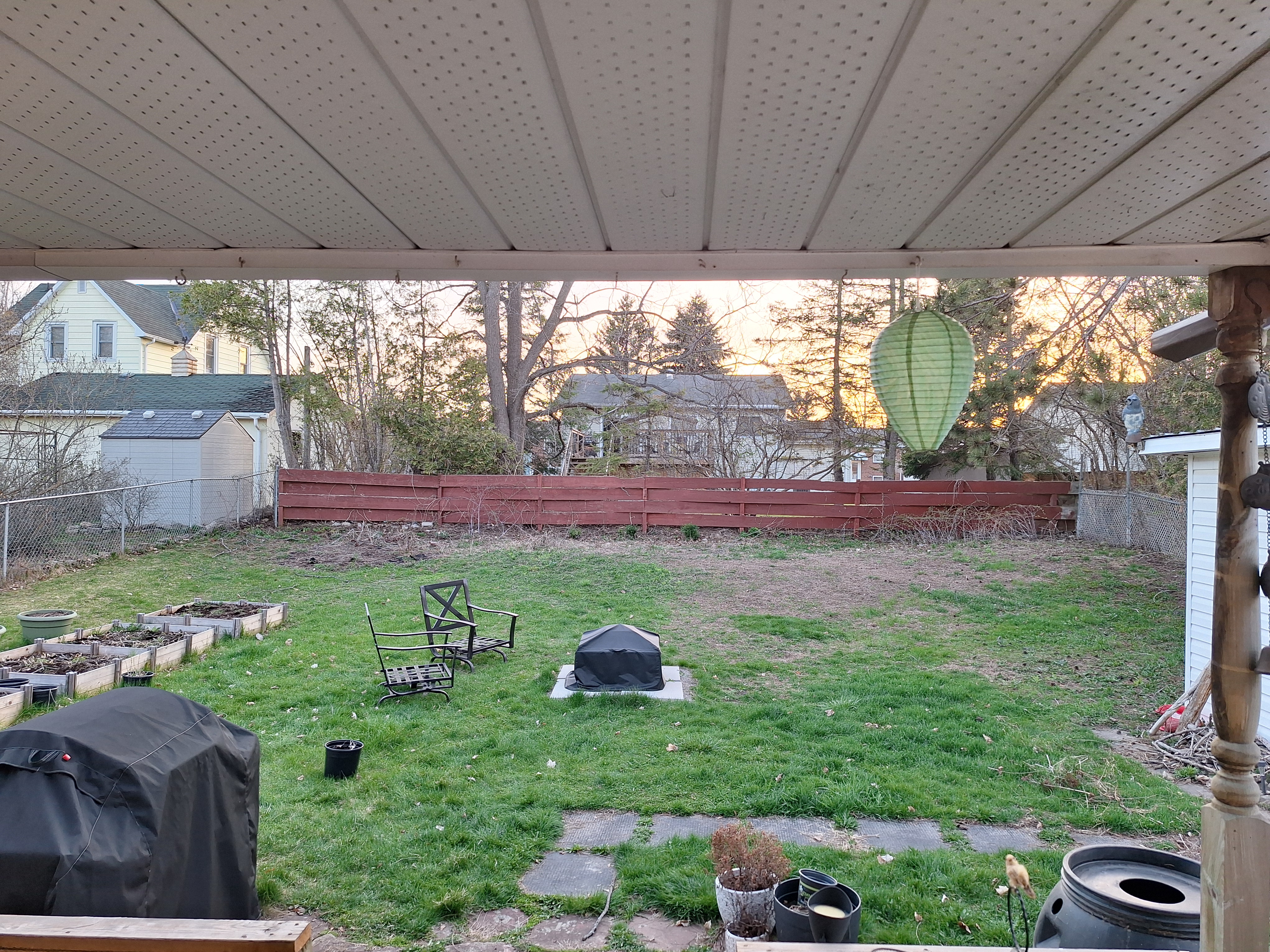 Backyard, Evening of April 28th, 2025